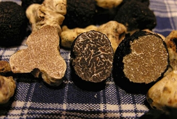 frozne truffle