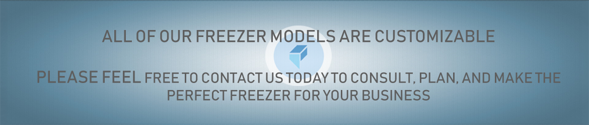 Flash Freezer model