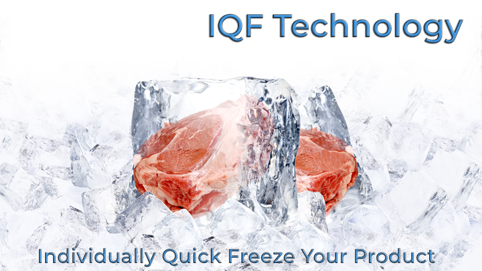 IQF Technology
