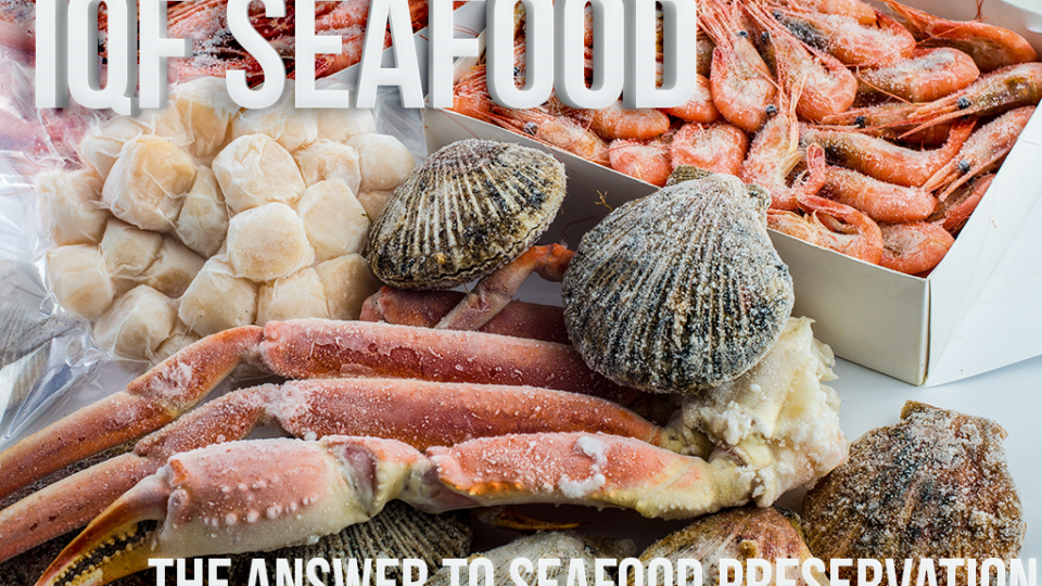 IQF Seafood