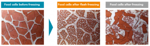 Flash Freezing Food Cells