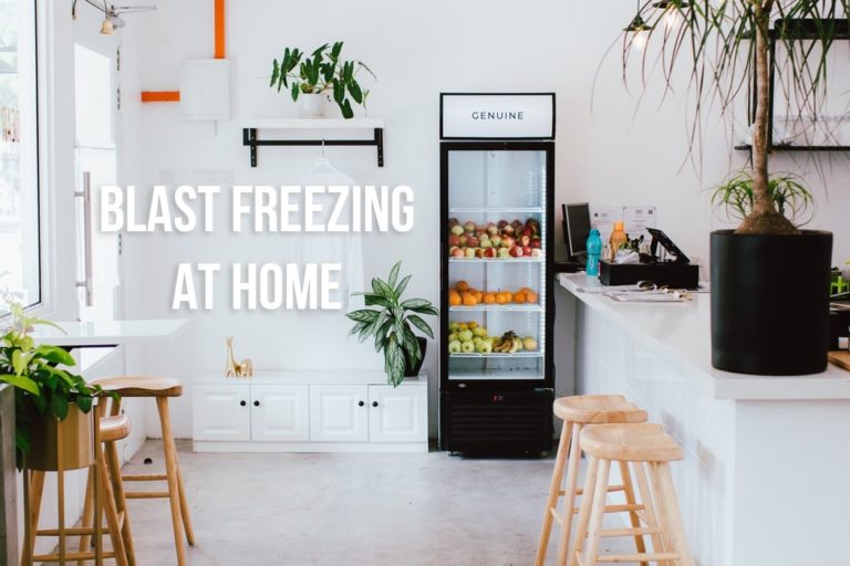 Blast Freezers for Home and Commercial Use Flash Freeze