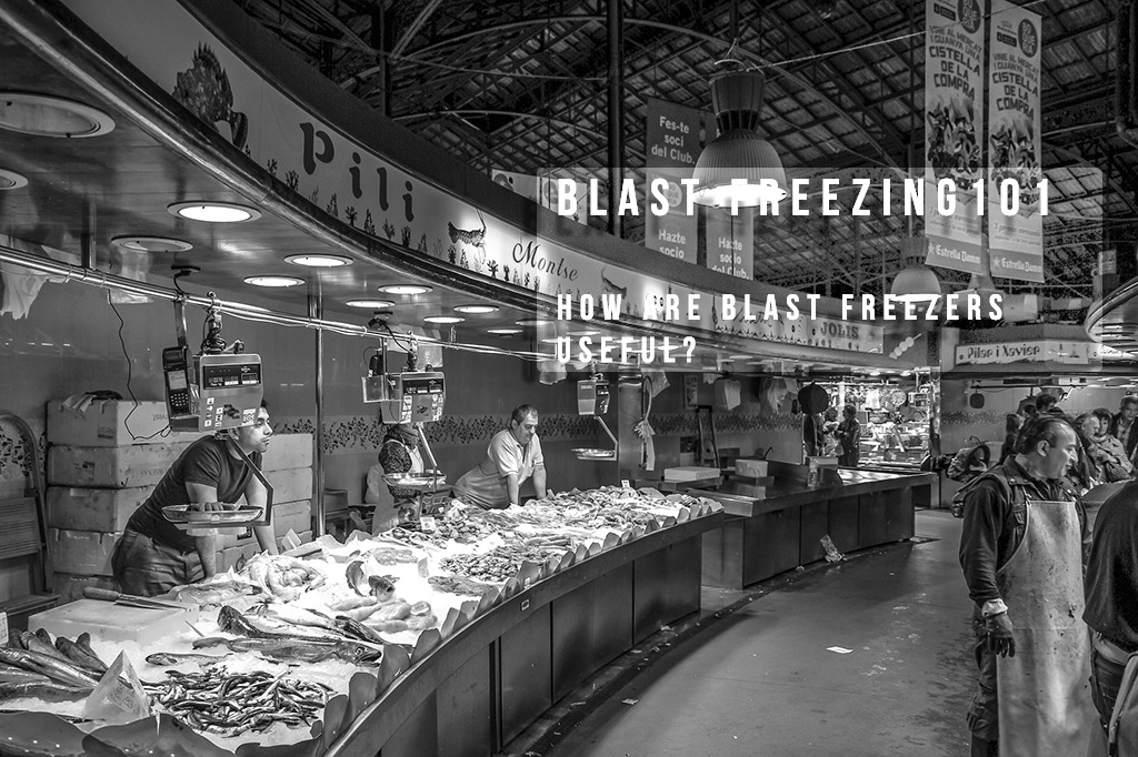 Blast Freezer Fish Market